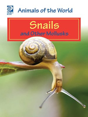 cover image of Snails and Other Mollusks